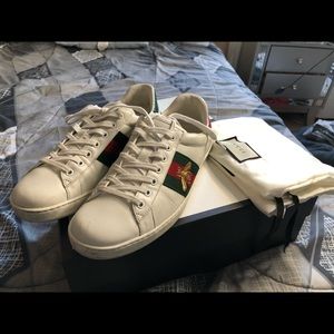 Gucci sneakers
